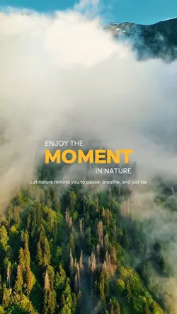 Moments In Nature
