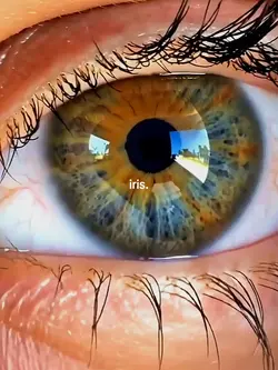 im lost in your eye