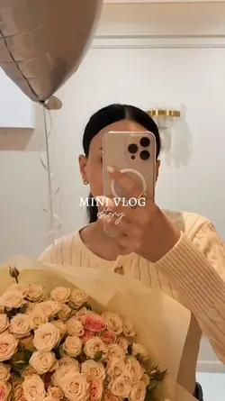 mini vlog story