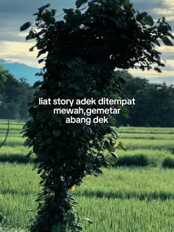 Gemetar abng dek