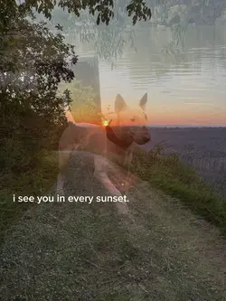 I miss you😭