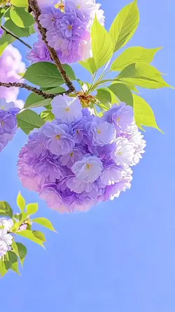 amazing flowers