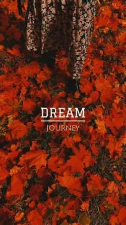 dream journey 