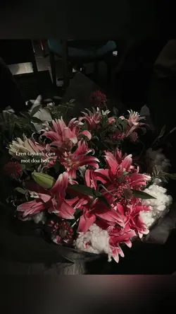Lyrics + Màu