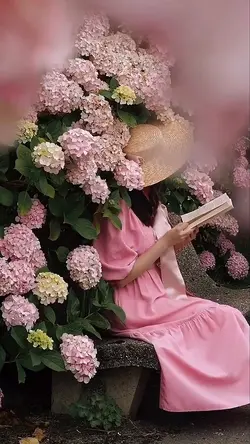 Spring Blossom 