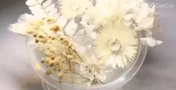 ㅎㅎ