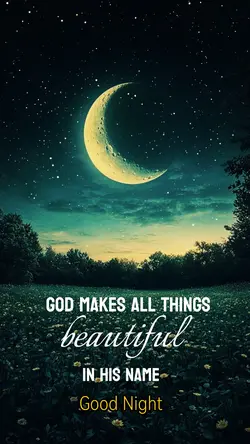 Beautiful night