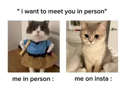me in person :