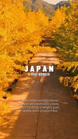 JAPAN YOUR AMAZING
