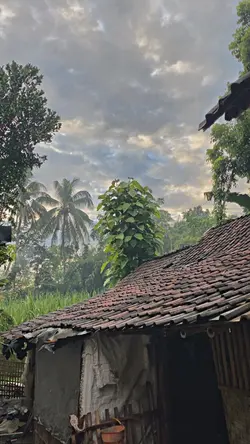 1VID HD JERNIH