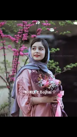 Bangla song 