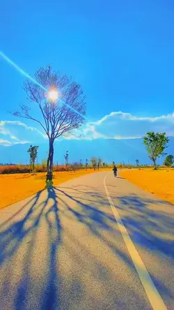 1video màu