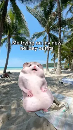 Hamster Dancing Meme