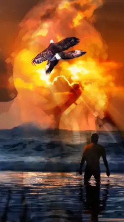 SUMMER EAGLE