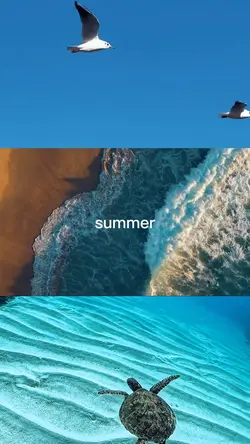 summer