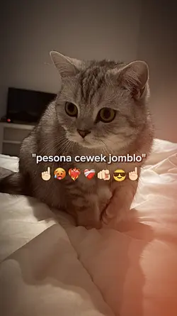 Pesona cewek jomblo 