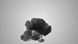 smoke explosion ¹¹