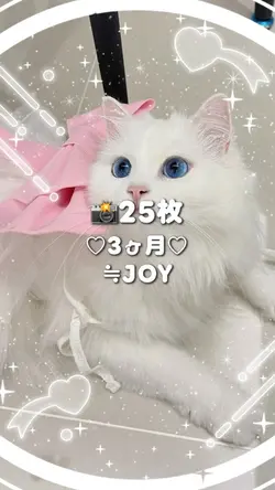 🎵♡3ヶ月♡