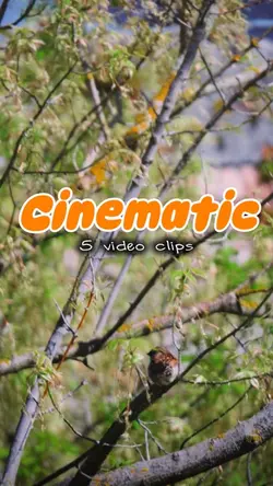 Cinematic 5 video |