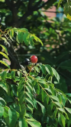 Cinematic video