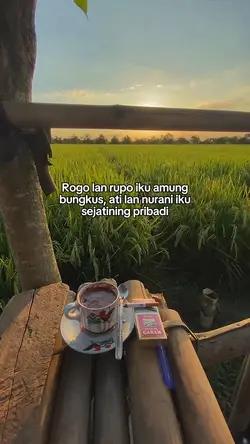 Rogo lan rupo iku