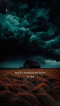 Wild World 