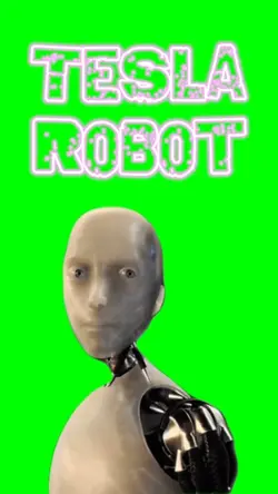 Tesla Robot
