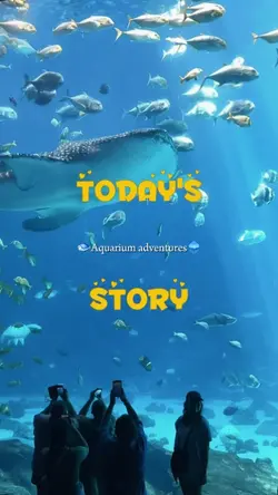 vlog aquarium 