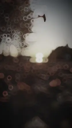 Top slowmotion 