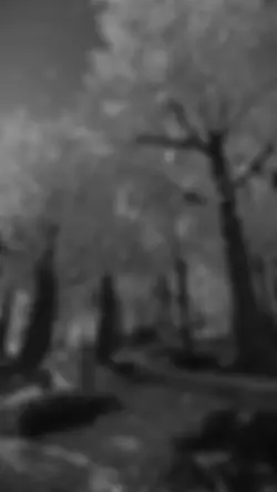 Sniper sniper sniper