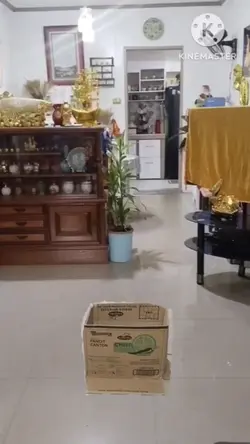 carton na lumutang 