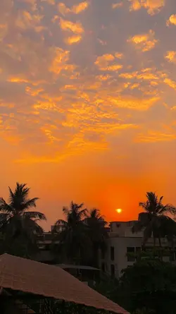 Filter senja