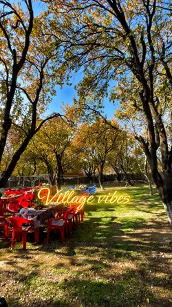 Village Vibes 