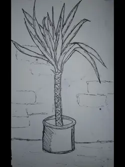 my drawing book