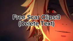 Free Scar Clips