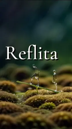 Reflita