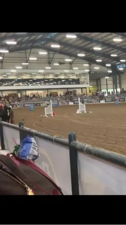 Breyerfest!!