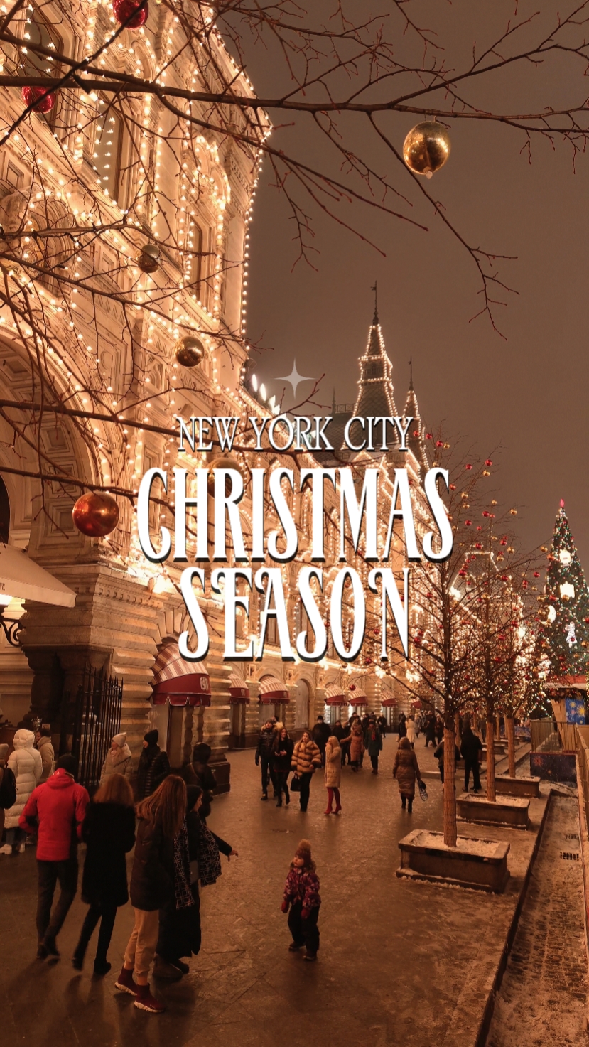 Christmas Templates City Blog - Pippit, image size:829x1473