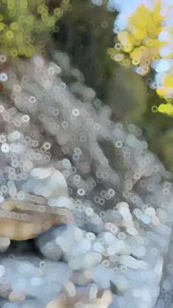 শহর জুড়ে বৃষ্টি নামু