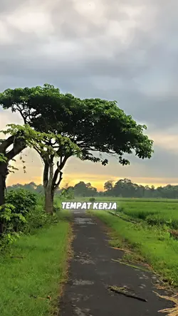 Izin Lapor Ketua