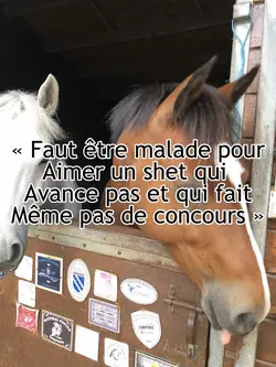 Que quelqu’un 💗