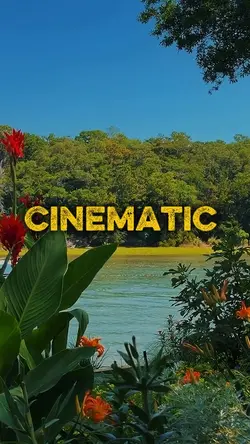 5 Clips Video or Pho