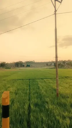 video aesthetic 