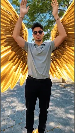 Celestial Wings