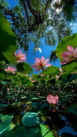 cinematic nature
