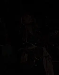 Jack Sparrow 