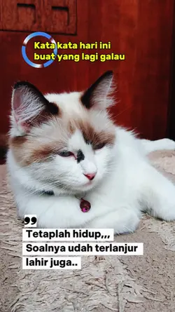 Kata hari ini