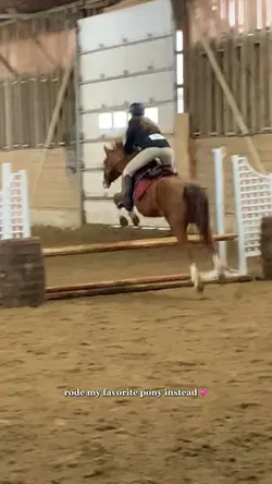 best pony ever 💗