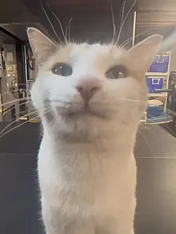 cool sound