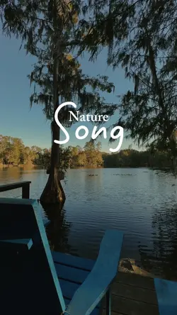 NATURE SONG